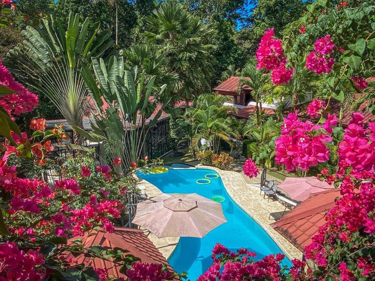 The Scarlet Villas Охочаль Экстерьер фото